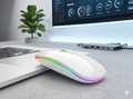 Wireless Dual Mode RGB Rechargeable Mouse – Bluetooth &amp; 2.4GHz